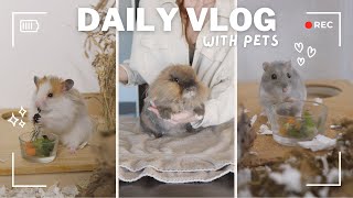 A Regular Day with Pets  Pet Vlog [upl. by Marlena]