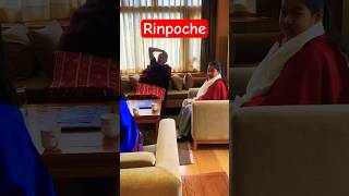 When Masters Meet rinpoche Dungse Rinpoche Yangsi  Jamyang Khyentse Buddhism [upl. by Aneret]