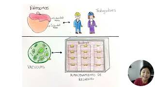 ANALOGÍA EN UNA FABRICA DE PRODUCCIÓN [upl. by Herrod]