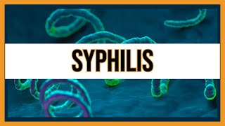 Syphilis Treponema Pallidum [upl. by Rhpotsirhc]