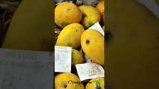 fruit opening with calcium carbide ethylene food ripening [upl. by Schlessel]