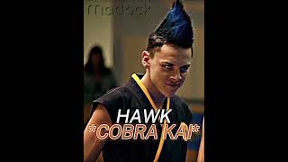 Miguel Vs Hawk s1 16 whoisstrongest cobrakai edit [upl. by Adnuhs318]