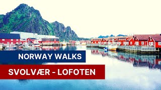 Svolvær Lofoten Islands  Northern Norway Summer Norway Walks 4K [upl. by Hael]