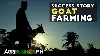 Goat Farming  Goat Farming Success Story  Agribusiness Philippines [upl. by Eirot]