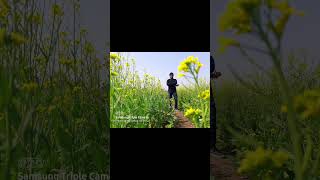 A Holiday Abroad in khiraiflowervalley khirai khiraiflowergarden travelblog travelvideo [upl. by Darnok]