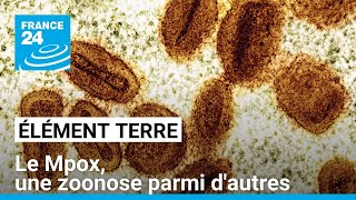 Les dérèglements de lenvironnement conduisent à une augmentation des épidémies dorigine animale [upl. by Letizia109]