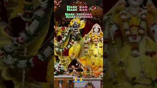 Twameva Mata Cha Pita Twameva🙏 Mayapur Isckon viralvideo madhursangeet [upl. by Maribeth]