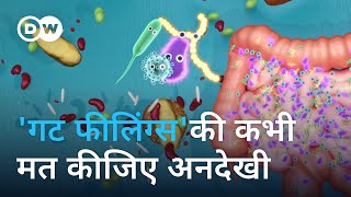 पाचन तंत्र को क्यों कहते हैं दूसरा मस्तिष्क Is the gut our second brain [upl. by Aiekahs]