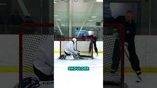 LA Kings Left Shoulder Dominant Back of Net Play system was a solution to the Canucks Sedin Twins [upl. by Peggi580]