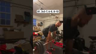 Romanian Deadlift 255x7 Reps [upl. by Rysler]