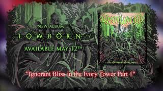 Wastewalker  Ignorant Bliss in the Ivory Tower Part 1 Official Lyric Video [upl. by Ahsikat]