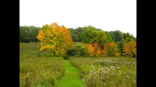 Canandaigua Vista Nature Preserve Autumn Sights [upl. by Anaek]