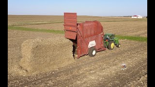 Making BIG STACKS near Coggon Iowa Hesston Stakhand [upl. by Elacsap]