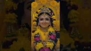 viedo radhe radhe viral ringtone notification ringtone viedo [upl. by Ahsea]