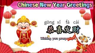 Top 20 Chinese New Year GreetingsSay Happy New Year in Chinese2022新年祝福语中文加油站 [upl. by Yhtak]