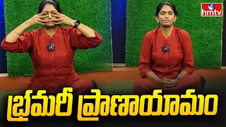 Bhramari Pranayamaa Bee Breath Benefits  భ్రమరీ ప్రాణాయామం  HARIKA Yogasana  hmtv [upl. by Coheman]