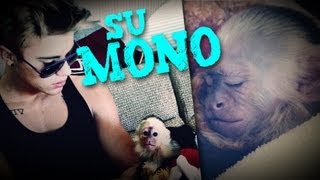 ¡Justin Bieber y Su Mono Mally [upl. by Glassco]