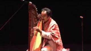 Paraguayan Harp Guarania Medley by Harpist Mariano Gonzalez [upl. by Alvan381]