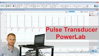 Tracking Pulse  Pulse Transducer in PowerLab [upl. by Ahteral]