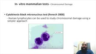 Genotoxicity and mutagenicity testing III Part 8 [upl. by Calesta]