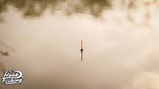 Pole Fishing for CARP  OnTheHook Fishing [upl. by Agarhs466]