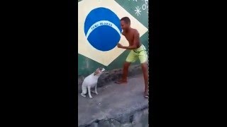 ASOMBROSO Perro Bailando Samba En Brasil Wao  Amazing Dog Dancing In Brazil  Argenis Fels [upl. by Eitsirk756]