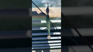 Lures for pier fishing fishingtechniques fishingvideo fishing pierfishing [upl. by Nnairol433]