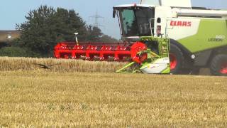 Claas Lexion 660 und Claas Lexion 540 dreschen WintergersteHD [upl. by Gauthier411]