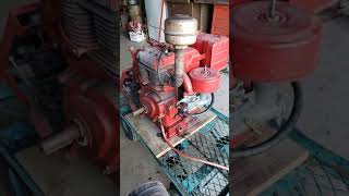 Briggs and Stratton Model 320424 build year 1969 [upl. by Anilat]