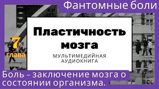 Пластичность мозга Фантомные боли Боль — это заключение мозга о состоянии здоровья организма [upl. by Borden]