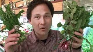 How to Select the Best Produce For Juicing at the Grocery Store [upl. by Acinnod]