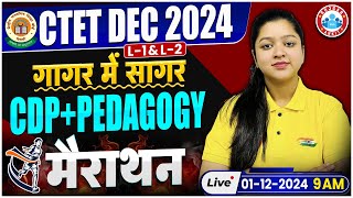 CTET CDP amp Pedagogy Marathon Class  CTET Dec 2024 गागर में सागर  CDP PYQs by Kanika Maam [upl. by Zebaj]