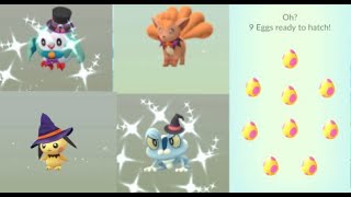 I hatched a pokemon rarer than a shundo in unbelievable Halloween eggs [upl. by Halehs809]