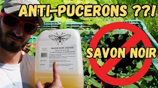 TRAITEMENT BIO CONTRE les PUCERONS SAVON NOIR [upl. by Henleigh]