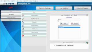 How To Whitelist Websites [upl. by Ahsitaf]