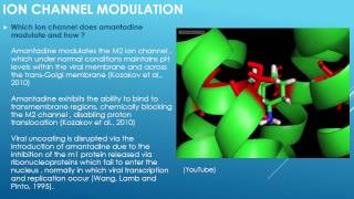 Amantadine  Ion Channel Modulation [upl. by Aiceled543]