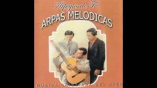 ARPAS MELODICAS  Las huellas de mi alma [upl. by Anaj314]