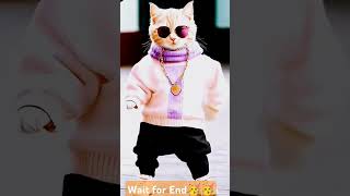 Cats Amazing😸 AIKidz CatDance ⭐Cats boli babu catshorts cutecats catsworld [upl. by Reinke]