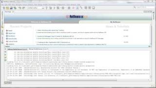 01 Adding Liferay Portal Server to Netbeans [upl. by Nosiddam977]