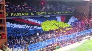 Show spettacolare gradinata sud Sampdoria [upl. by Matias]