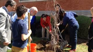 Arbor Day Tree Planting At Homer Street School [upl. by Oisacin39]