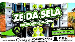 Zé Da Sela Ritmo Arrochadeira 2020 Super Repique Alterados Alysson CDs [upl. by Ttenna]