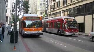 Various LA Buses  Part 1  High Quality Video [upl. by Attelocin]