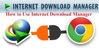 How to Download Files Using Internet Download Manager IDM [upl. by Asel]