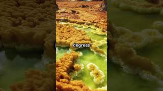 Danakil Depression  Earths Hottest Spot youtubeshorts shorts [upl. by Notlehs]