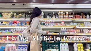 Living Alone in Korea  cozy rainy day life Introverts outing and SelfCare vlog [upl. by Reckford]