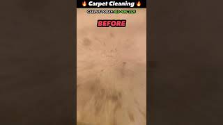 Baltimore carpet transformation See the difference a deep clean can make ✨🧼 [upl. by Jehias]