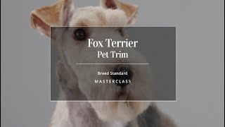 Pet Trim  Fox Terrier Masterclass Trailer [upl. by Duhl]