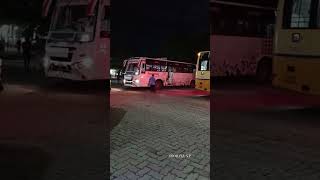 jayaraj bus service  Palani to madurai SRI KARUPAN PALLAPATTI trending palanibus trendingreels [upl. by Lahcim]