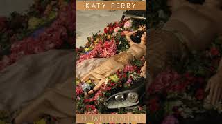 Katy Perry  Unconditionally Dutch Cover made with Suno dutchcover cover translation katyperry [upl. by Hacceber]